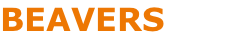 BEAVERS